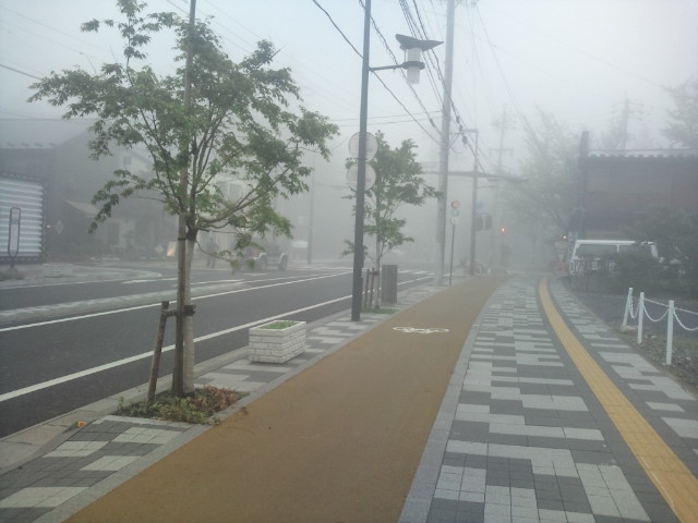 濃霧1