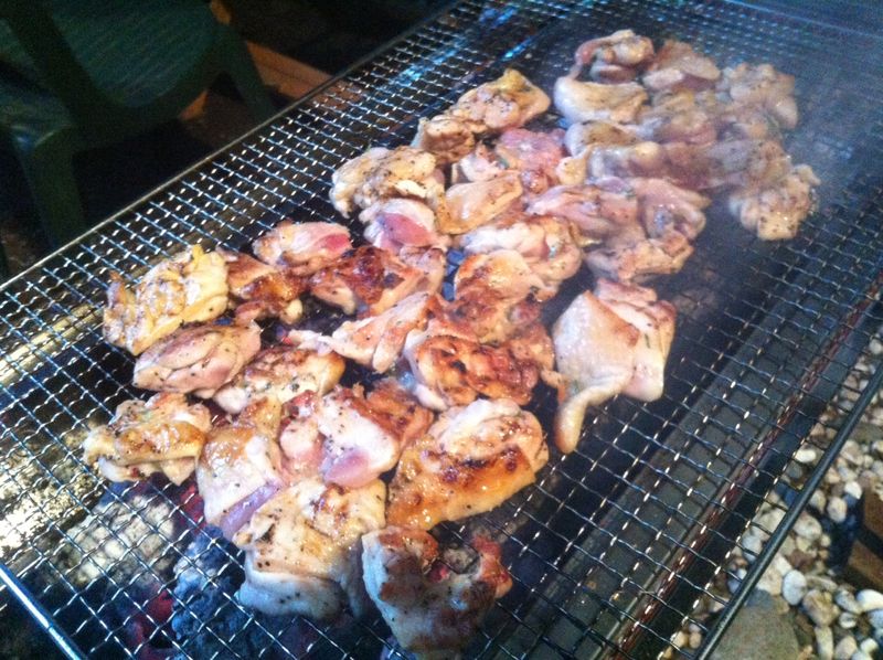 14.06 BBQ5 14.06 BBQ5