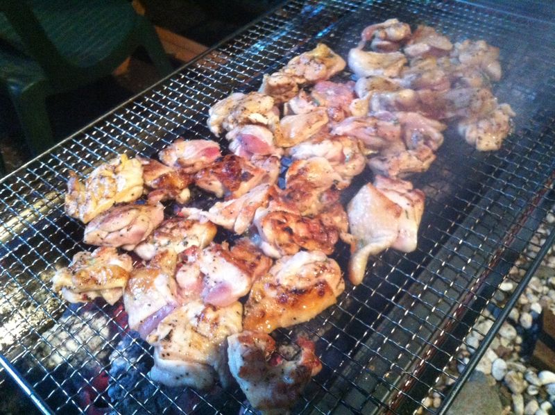 14.06 BBQ5